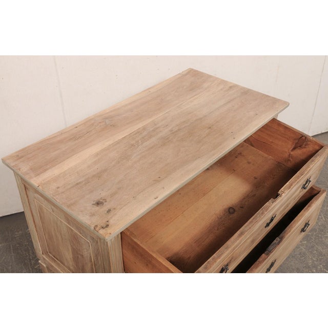 Tan Antique Italian Two-Drawer Cassettiera For Sale - Image 8 of 10