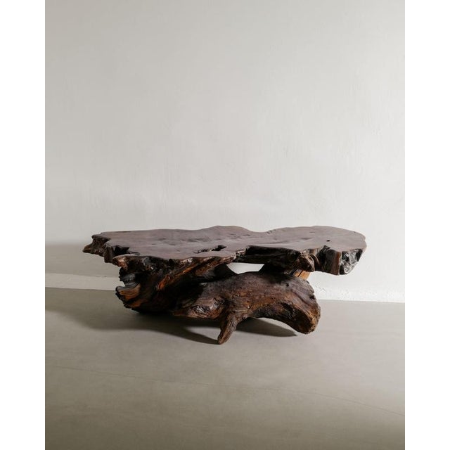 Wood French Mid-Century Brutalist Wooden Sculptural Free Form Root Table, 1960s For Sale - Image 7 of 7