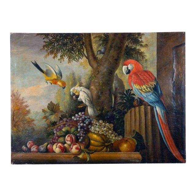 Painting of Birds in a Landscape by Jacob Bogdani (1658-1724) For Sale