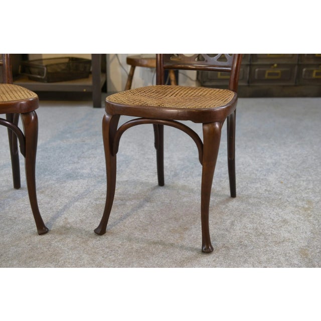 Wood Art Nouveau Bentwood Chairs attributed to Koloman Moser for Jacob and Josef Kohn, 1890s-1910s, Set of 2 For Sale - Image 7 of 14