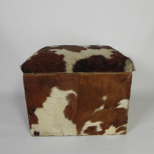 Brown Vintage Cowhide Ottoman with Storage, Netherlands, 1950s For Sale - Image 8 of 11
