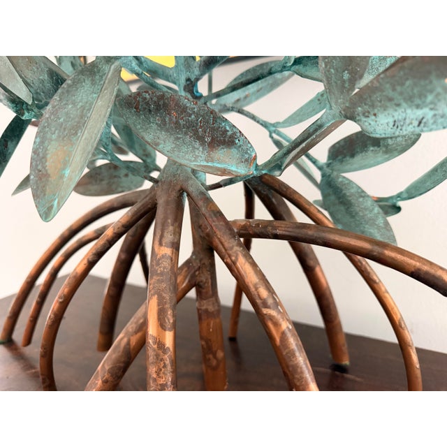Triple Mangrove Candelabra For Sale - Image 9 of 11