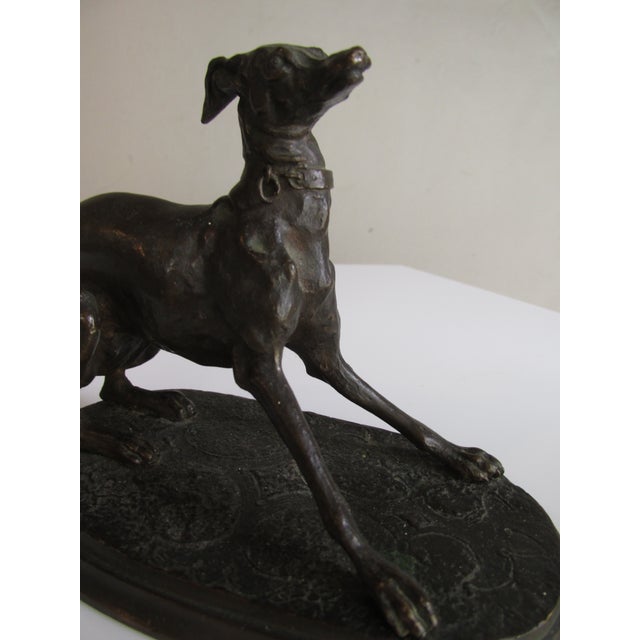 Metal Antique French Bronze Depicting a Standing Whippet For Sale - Image 7 of 11