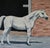 Wonderful oil painting of Champion Arabian Horse Ibn Julep by Martha Decker. I love the likeness of the champion stallion...