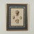 Lofty set of eight hand colored prints depicting exotic seashells from around the world as identified by the original...