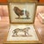 Two lithographs depicting a lion and a tiger, by the Swiss engraver Karl Joseph Brodtmann (1787-1862). Originally...