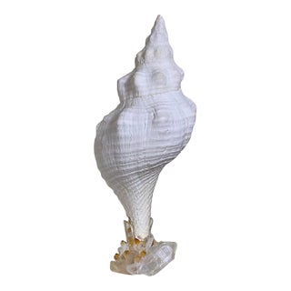 Handcrafted Marine & Mineral Sculpture by Joseph Malekan For Sale