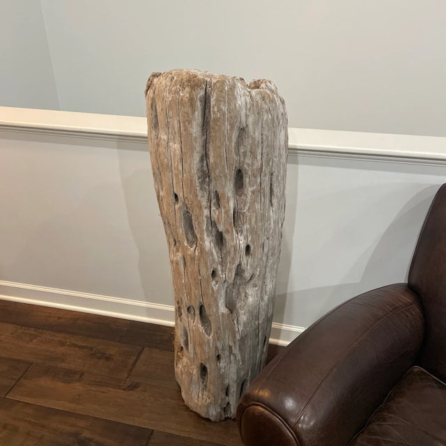 2006 Driftwood Sculpture For Sale - Image 9 of 13