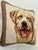 Exquisitely hand-crafted vintage throw pillow with a realistic depiction of a Golden Retriever. Beige velveteen back with...