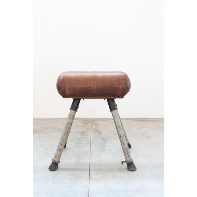 Gymnastics Horse in Leather and Metal, 1950s For Sale - Image 3 of 18