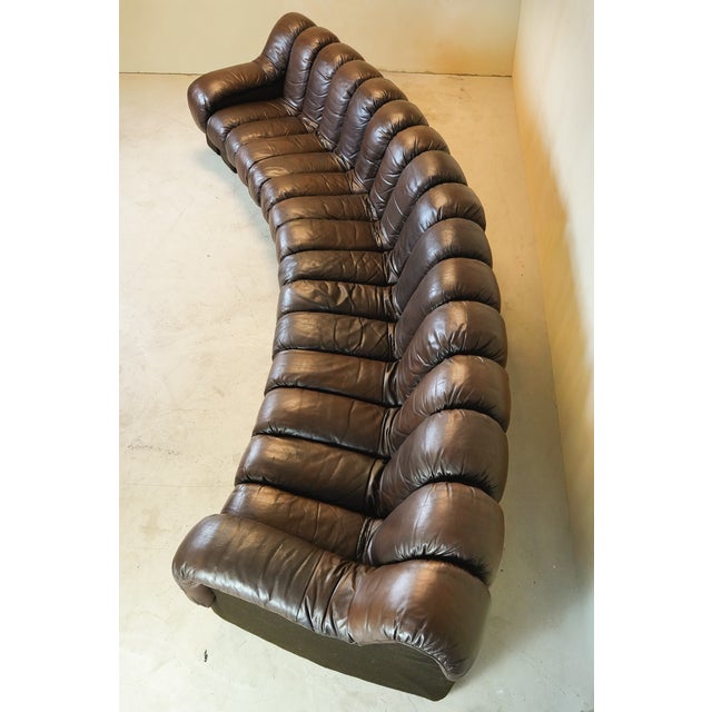 DS600 Non-Stop Snake Sofa in Brown Leather by Ueli Berger for de Sede, 1970s, Set of 16 For Sale - Image 9 of 18