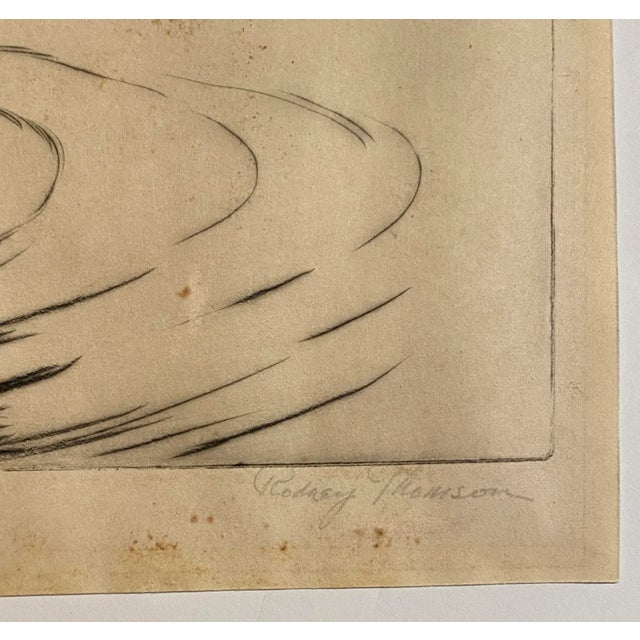 1920s Rodney Thomson Puma Wildlife Etching For Sale - Image 4 of 5