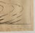 1920s Rodney Thomson Puma Wildlife Etching For Sale - Image 4 of 5