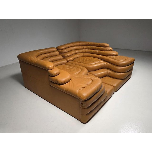 1980s DS-1025 Terrazza Sofas by Ubald Klug for De Sede, 1980s, Set of 2 For Sale - Image 5 of 10