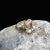 Art Deco Liza Ring by Anjalé Size 11 For Sale - Image 3 of 6