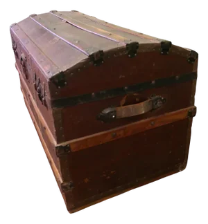 Polished Oak and Canvas Dome Top Chest