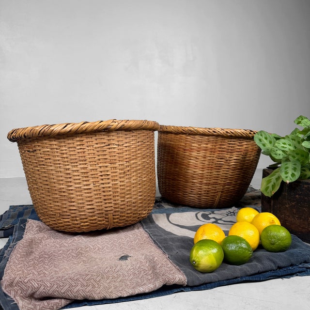 Brown Shōwa Japanese Bamboo Baskets, 1950, Set of 2 For Sale - Image 8 of 13