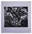 Biblical woodcut by German artist Walter Mellman (1910-2001) "Saint peter's Betrayal" rooster woodcut on paper. Unsigned,...