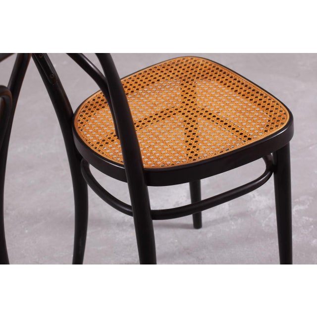 Vintage No. 214 Chairs from Thonet, Austria, 1970s, Set of 2 For Sale - Image 10 of 11