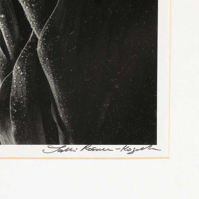 Photography Modernist Black and White Still Life Photograph of Tulips For Sale - Image 7 of 8