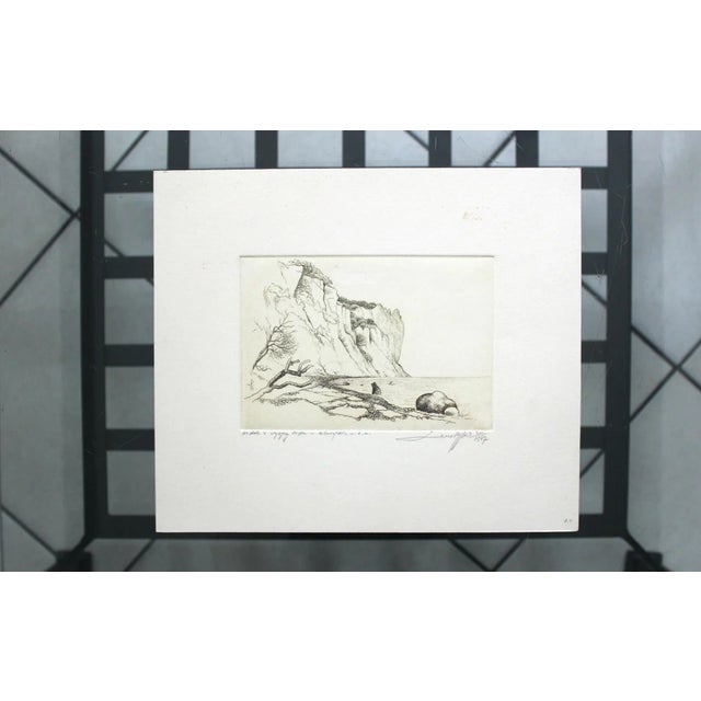 Leszek rózga (1924-2015). he studied painting at maria skarbek-kruszewska private atelier in 1945-46. In 1948, he began...