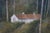 Late 20th Century L. Stephano Impressionist Country Farmhouse Landscape Oil Painting 83" For Sale - Image 10 of 15