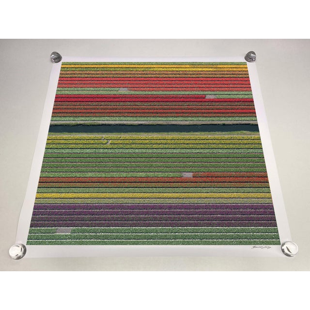 Not Yet Made - Made To Order "AV_Tulip_Fields_037" Contemporary Aerial View Limited Edition Photograph by Bernhard Lang For Sale - Image 5 of 12