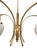 Mid-Century Modern 1950s Stilnovo Elegant Five-Arm Brass Chandelier With Frosted Glass Drops For Sale - Image 3 of 8