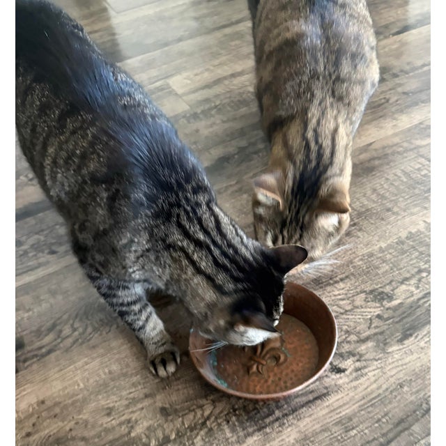 A beautiful matched set of two hand-hammered, 100% solid copper bowls, ideal for food and water for cats and small dogs....