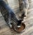 A beautiful matched set of two hand-hammered, 100% solid copper bowls, ideal for food and water for cats and small dogs....