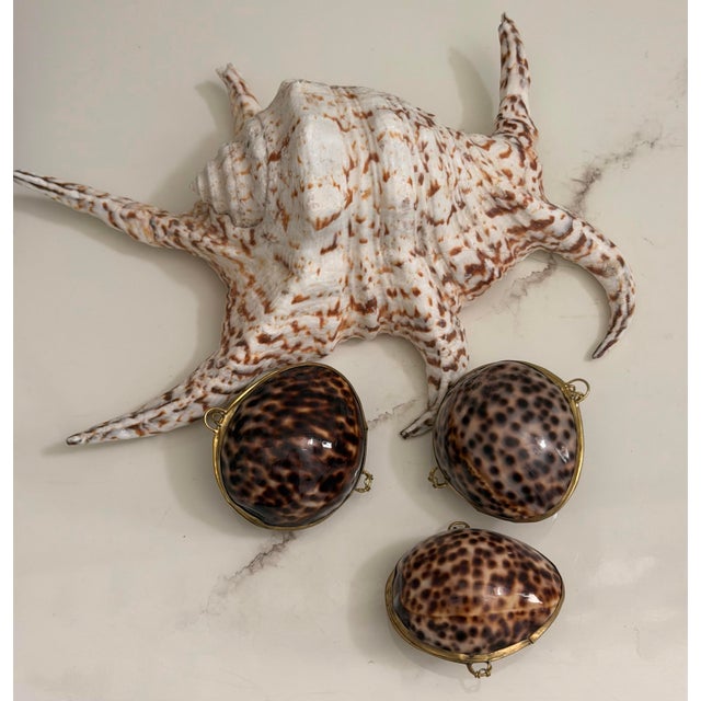 Victorian Mid 20th Century Victorian Cowrie Shell Nautical Keepsake Box For Sale - Image 3 of 8