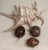 Victorian Mid 20th Century Victorian Cowrie Shell Nautical Keepsake Box For Sale - Image 3 of 8