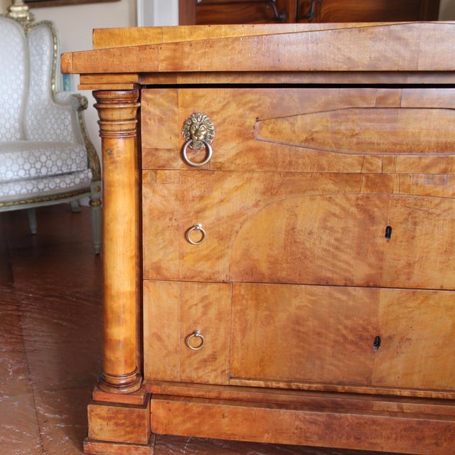 Biedermeier Birch Commode / Chest of Drawers For Sale - Image 13 of 17