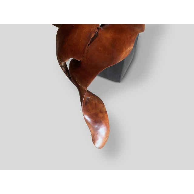 Andrianna Shamaris Mahogany Wood Sculptural Chair or Art Piece For Sale - Image 12 of 18