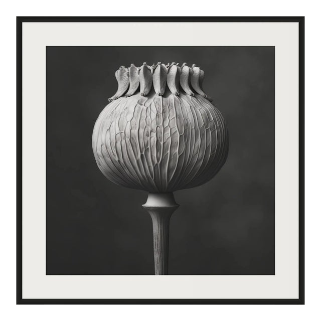 'Poppy Pod Head' No. 4 - Black and White Botanical Floral Photography Print / Karl Blossfeldt For Sale