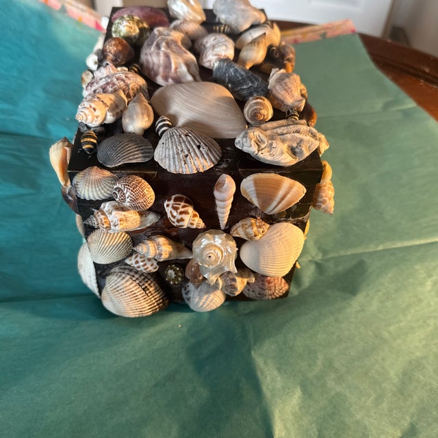 Bring the beauty of the ocean indoors with this beautifully detailed, handmade seashell trinket box. Perfect for beach...