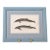 Antique Dolphin Print (C. 1900) Float Mount in Blue Vintage Frame For Sale