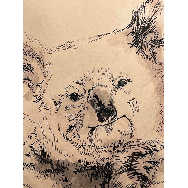 1974 Original Watercolor & Ink Australian Koala Bears Signed & Framed Painting For Sale - Image 4 of 7