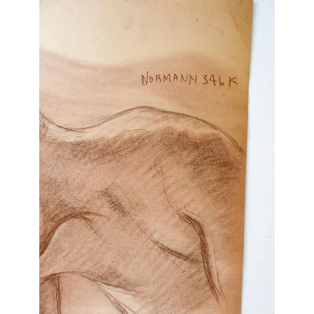 Vintage 1950's sepia chalk male figural study by Charles Berkeley Normann (1903-1985) Texas and Norway, signed upper...