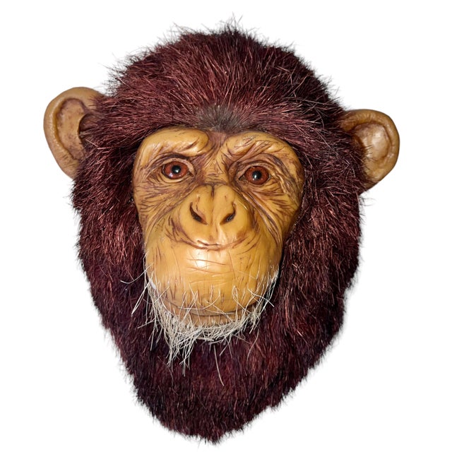 Anne Andersson, Monkey Head Natural Sisal Fiber Clay Sculpture Chimpanzee Anne Andersson Art, 2009 For Sale In Miami - Image 6 of 10