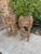 Bentwood Plant Stand, Vintage Handmade With Willow Folk Art (2) Two-Tier Rustic Twig For Sale - Image 12 of 12