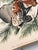 Audubon Bird Print – “Little Screech Owl”, 1964 Abrams Folio – Vintage Ornithology Art 1964 print from "The Audubon Folio:...