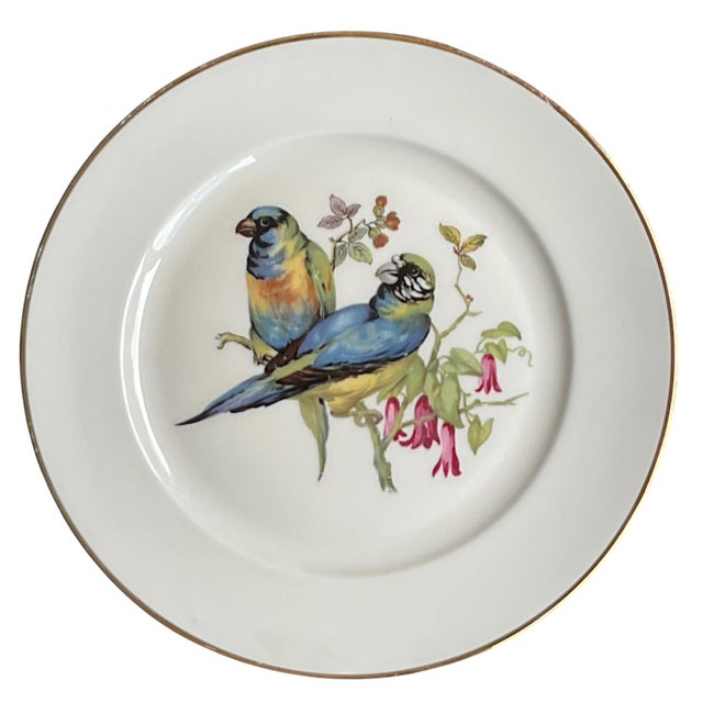 1950s Mid 20th Century Porcelain Song Bird Plates JKW Western Germany, Set of 6 For Sale - Image 5 of 18