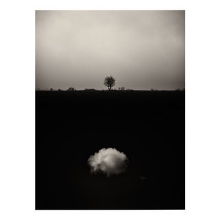Jaume Llorens Bach, Gaia Diptych #6, Monochrome Photographic Print For Sale