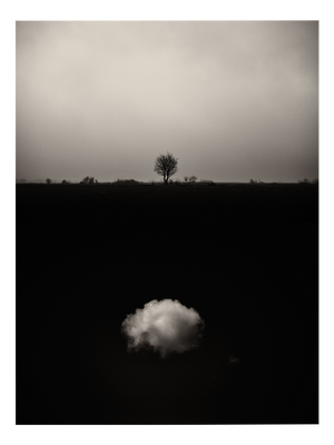Jaume Llorens Bach, Gaia Diptych #6, Monochrome Photographic Print