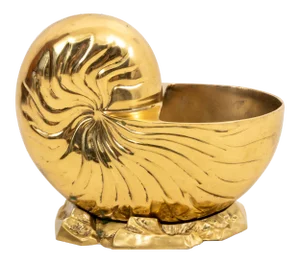Large Brass Nautilus