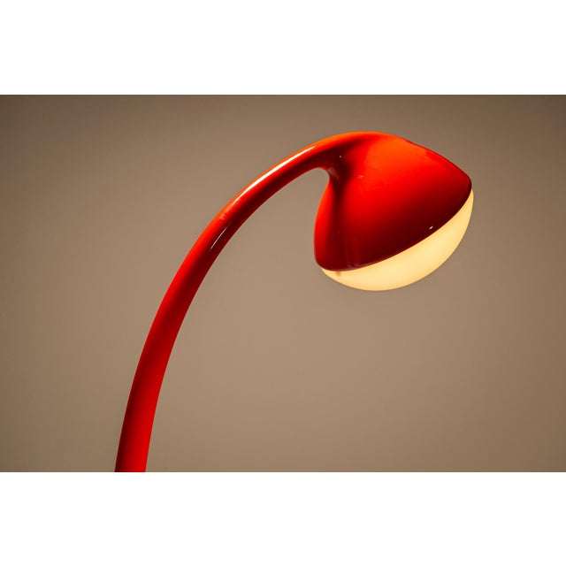 Plastic DL5 Lampione Floor Lamp in Red by Fabio Lenci for Guzzini, Italy, 1971 For Sale - Image 7 of 11