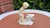 Porcelain Boy with Goose Figurine from Schaubach Kunst, 1950s For Sale - Image 4 of 11