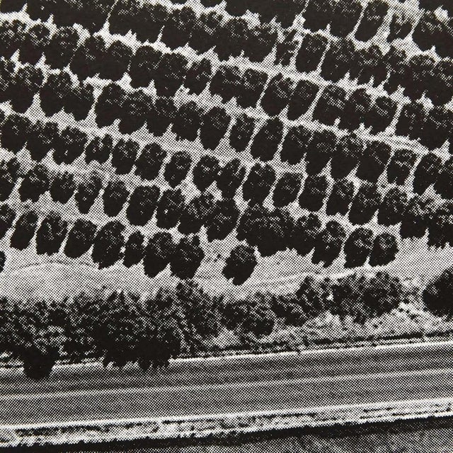 Early 21st Century José Pérez Ocaña, De Saint Michel Cantillana, 2017, Photography For Sale - Image 5 of 8