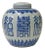 Hand-Paint Fok Longevity Characters Blue White Porcelain Ginger Jar For Sale